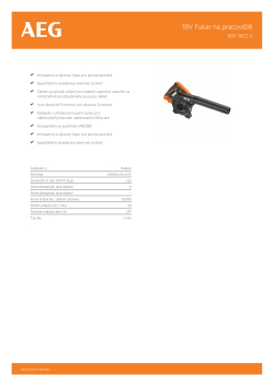 RYOBI BGE 18C2  4935478458 A4 PDF