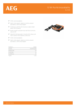RYOBI BLK1218 12-18V Rychlá dvojnabíječka 4932451538 A4 PDF