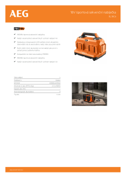 RYOBI BL18C6 18V 6portová sekvenční nabíječka 4935480051 A4 PDF