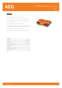 RYOBI BL18C2 18V Paralelní nabíječka se dvěma porty 4935480052 A4 PDF
