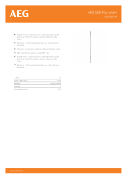 RYOBI ASDS AEG SDS-Max 2-břitový vrták, 22mm průměr x 1000mm délka – 1ks 4932479292 A4 PDF