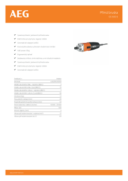 RYOBI GS 500 E Přímá bruska 4935412985 A4 PDF