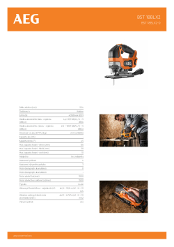 RYOBI BST 18BLX2  4935492484 A4 PDF