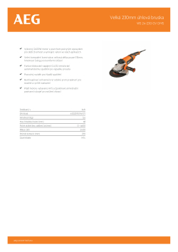 RYOBI WS 24-230 GEV Velká 230mm úhlová bruska 4935431775 A4 PDF