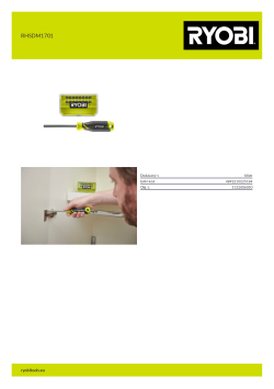 RYOBI RHSDM1701  5132006050 A4 PDF