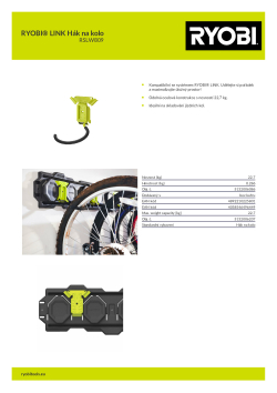 RYOBI   5132006207 A4 PDF