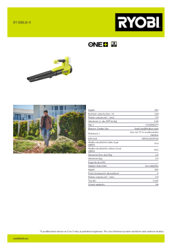 RYOBI RY18BLB  5133006377 A4 PDF