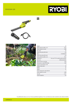 RYOBI RY4CGSA  5133006740 A4 PDF
