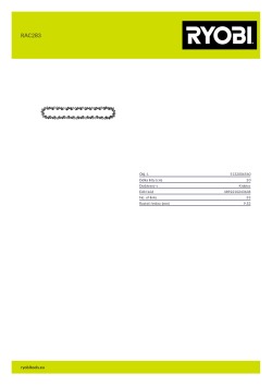 RYOBI RAC283  5132006560 A4 PDF