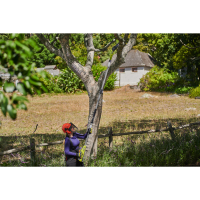 RYOBI RY18PP20A-120 18V ONE+ Teleskopická tyčová pila EZ REACH, 20cm 5133006957