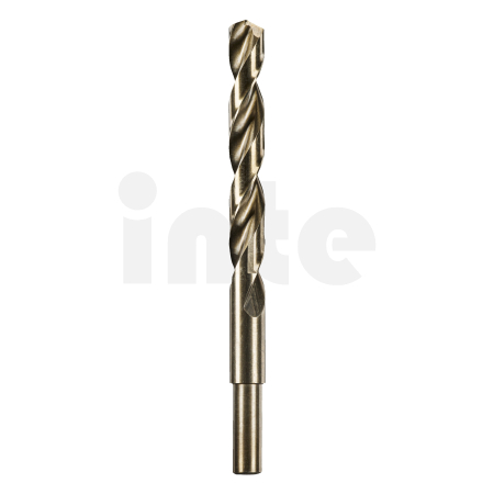 RYOBI AAKHSSG AEG HSS-G vrták do kovu 12mm – 1ks 4932479319