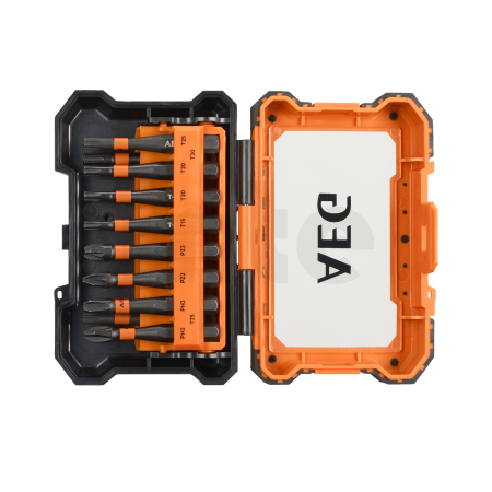 RYOBI AAKSD10 Sada 10ks šroubovacích 50mm bitů 4932471963