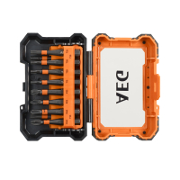 RYOBI AAKSD10 Sada 10ks šroubovacích 50mm bitů 4932471963